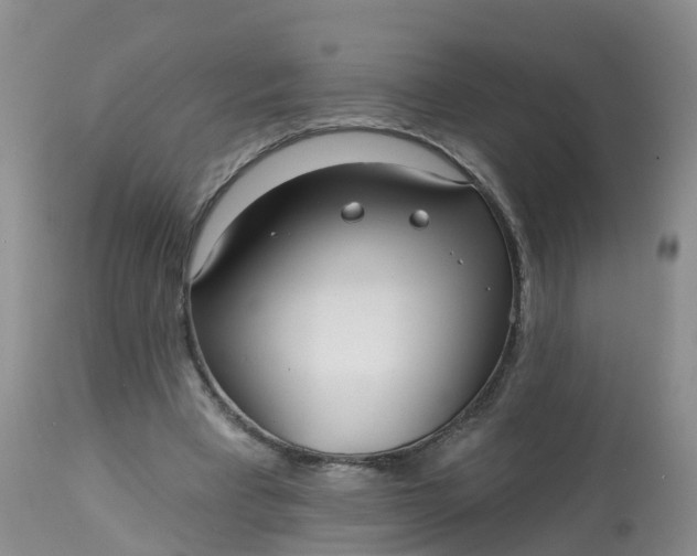 X0000113100393200909111057
