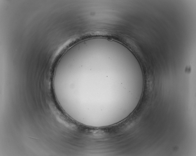 X0000113100395200909111057