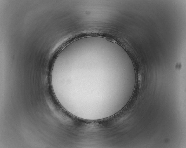 X0000113100396200909111057