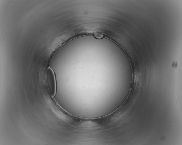 X0000113100397200909111057