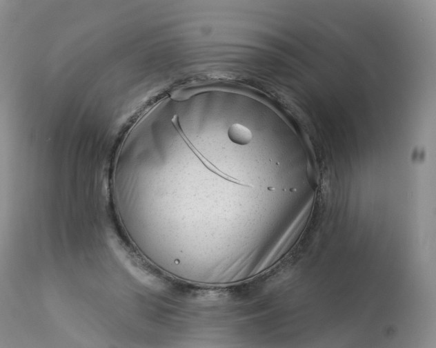 X0000113100398200909111057