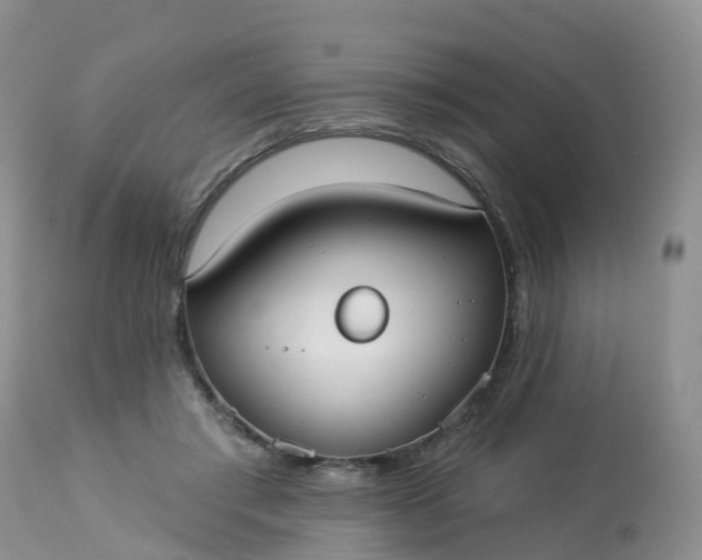 X0000113100405200909111056