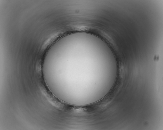 X0000113100407200909111056