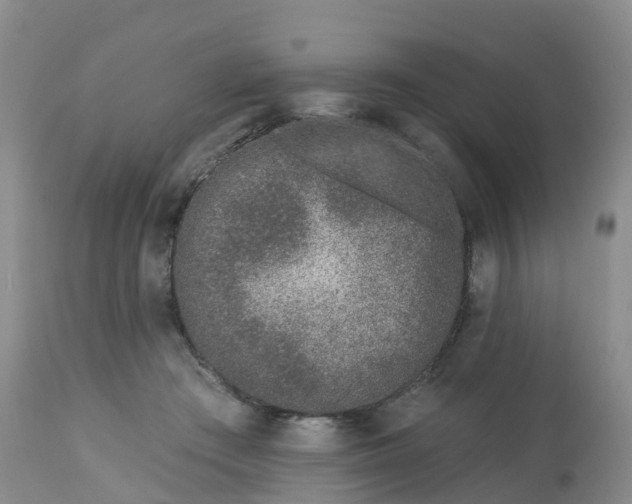X0000113100409200909111056