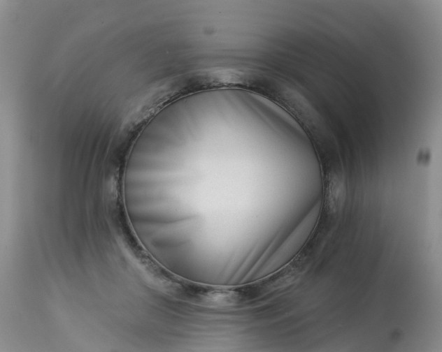 X0000113100410200909111056