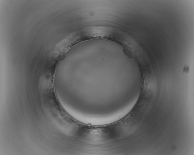 X0000113100411200909111056