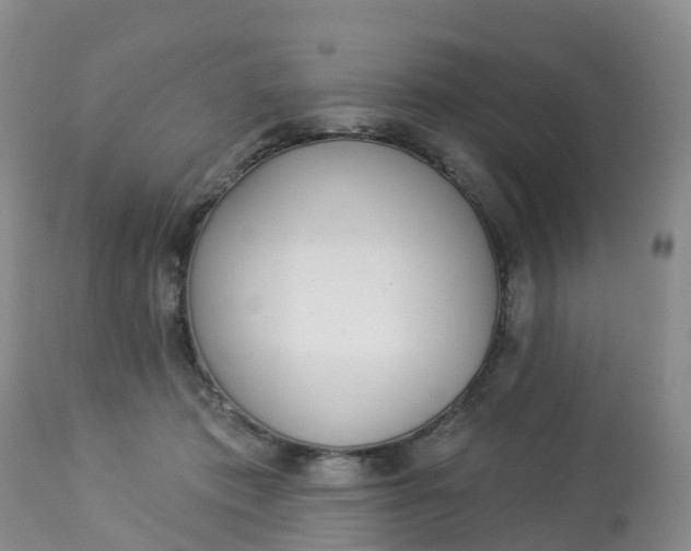 X0000113100413200909111056