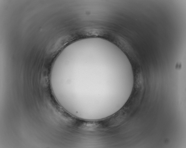 X0000113100414200909111056