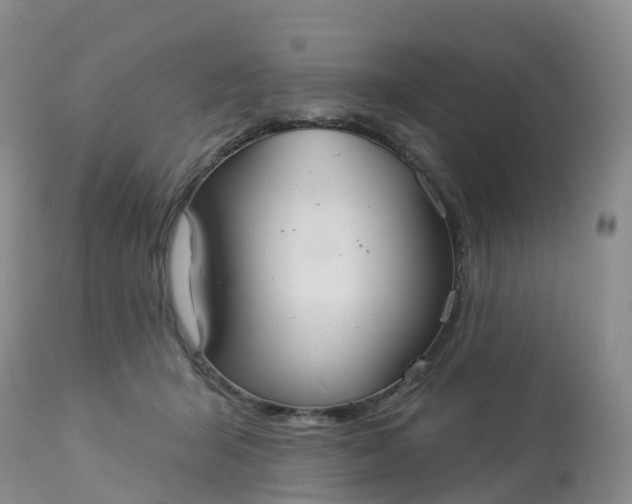 X0000113100415200909111056