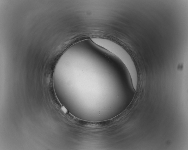 X0000113100417200909111056