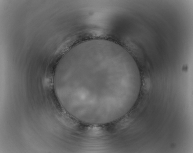 X0000113100419200909111056