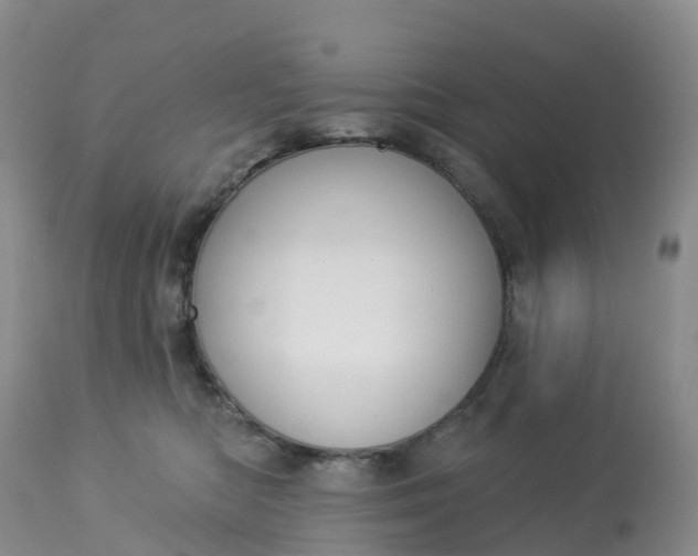 X0000113100422200909111056