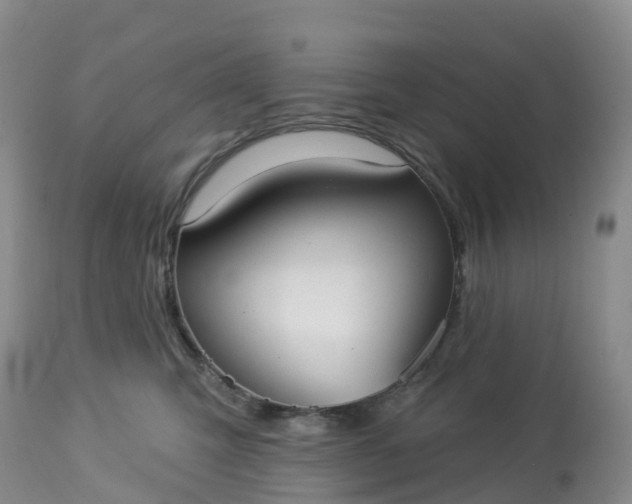 X0000113100423200909111056
