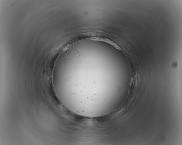 X0000113100424200909111056
