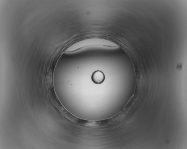 X0000113100425200909111056