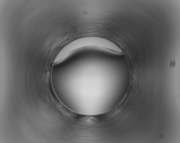 X0000113100427200909111056