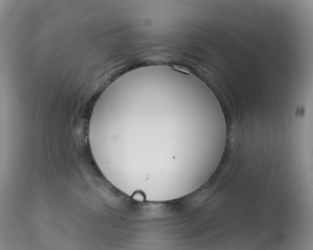 X0000113100428200909111056