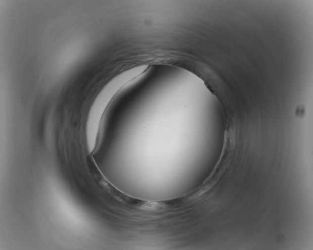 X0000113100429200909111056