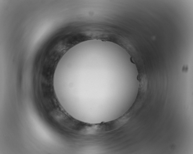 X0000113100430200909111056