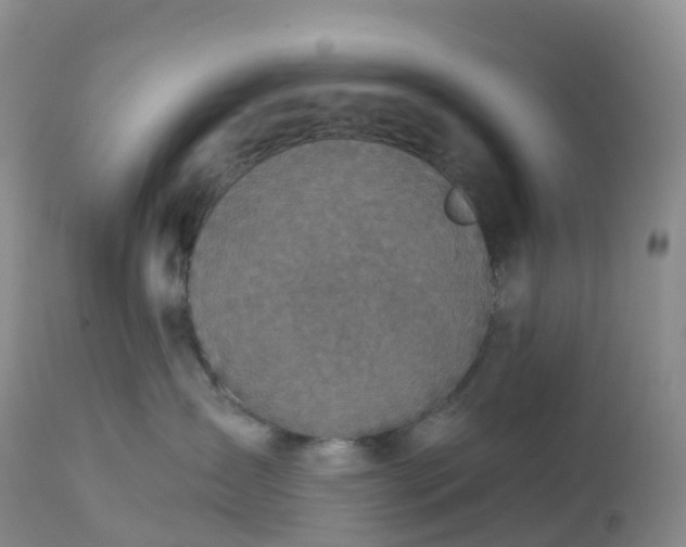X0000113100431200909111056