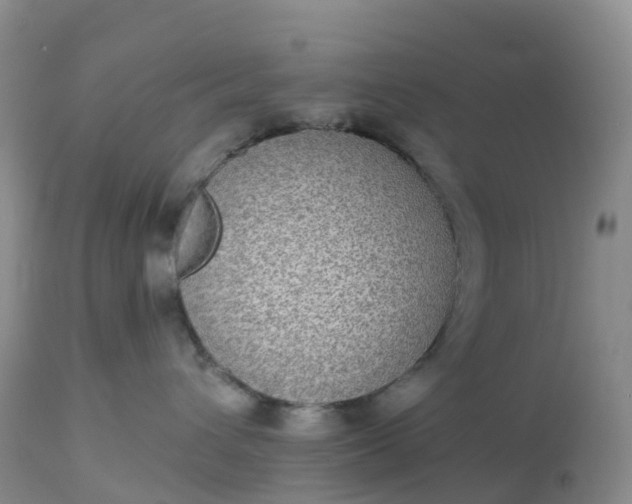 X0000113100432200909111056