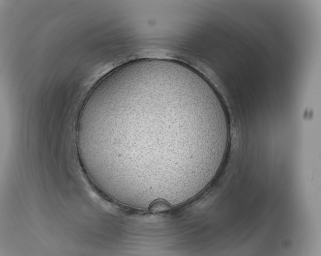 X0000113100433200909111055
