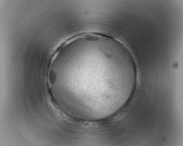 X0000113100434200909111055