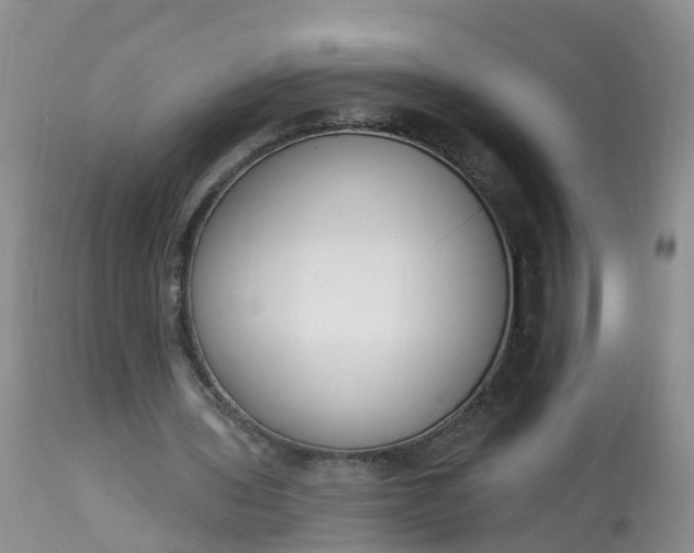 X0000113100435200909111055