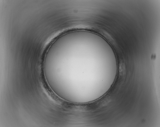 X0000113100436200909111055