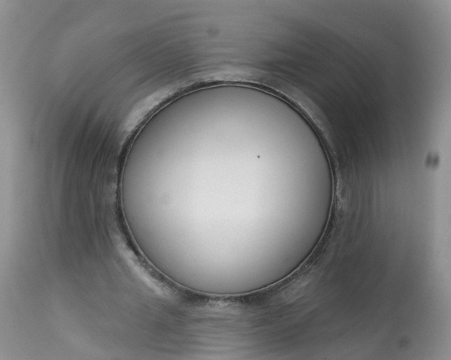 X0000113100437200909111055