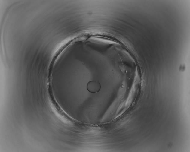 X0000113100438200909111055