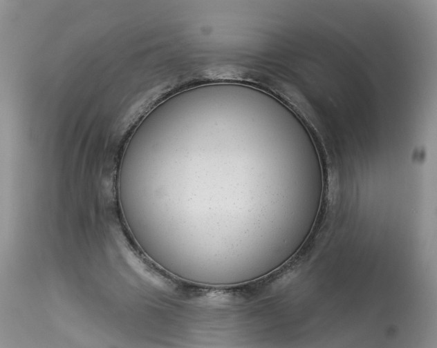 X0000113100441200909111055