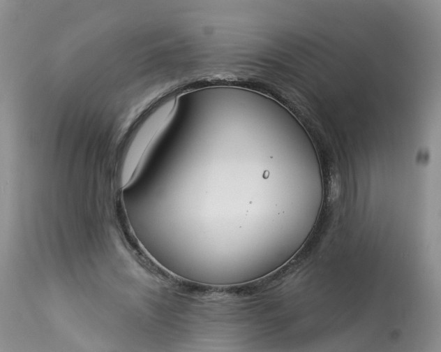 X0000113100444200909111055