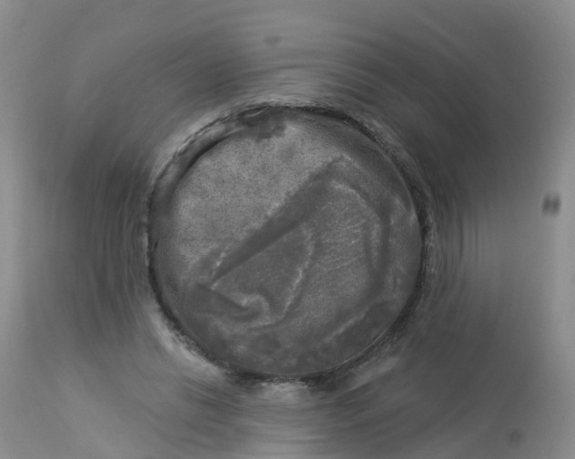 X0000113100446200909111055