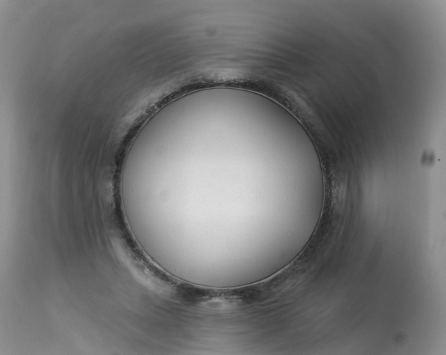 X0000113100447200909111055