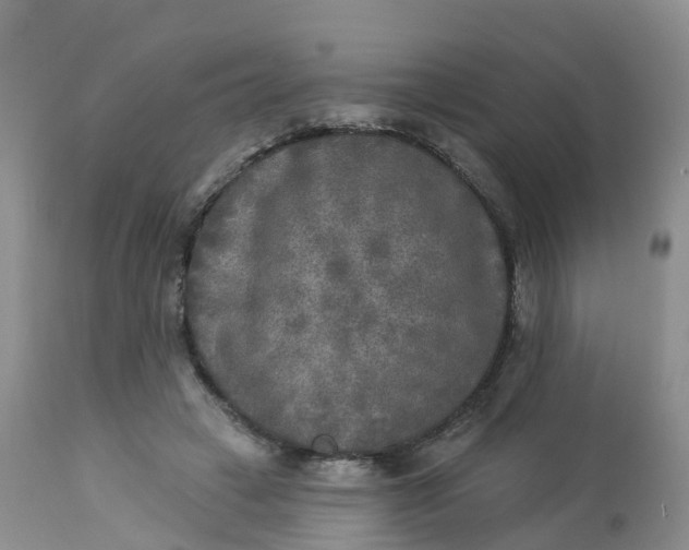 X0000113100449200909111055