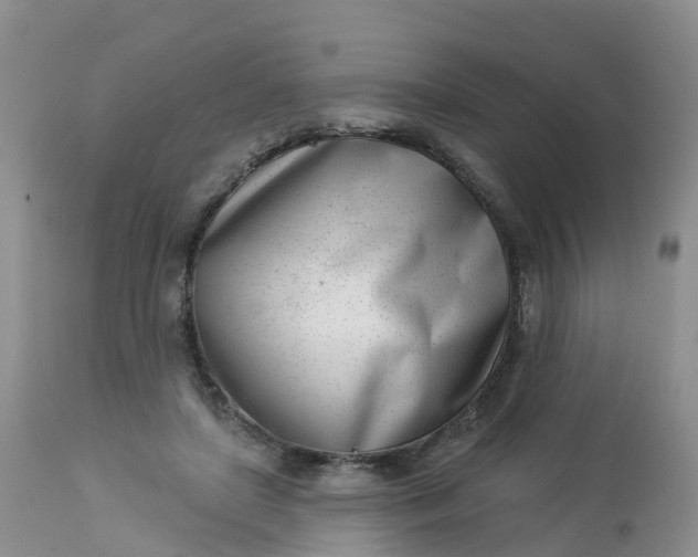 X0000113100451200909111055