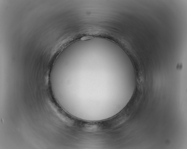 X0000113100454200909111055