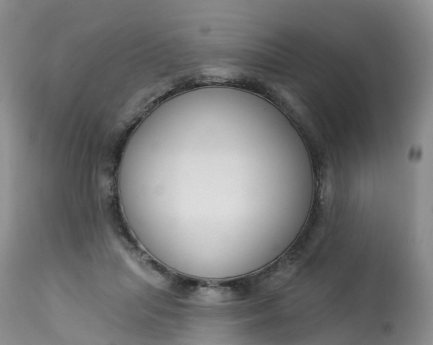 X0000113100455200909111055