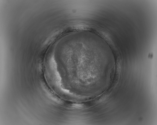 X0000113100457200909111055