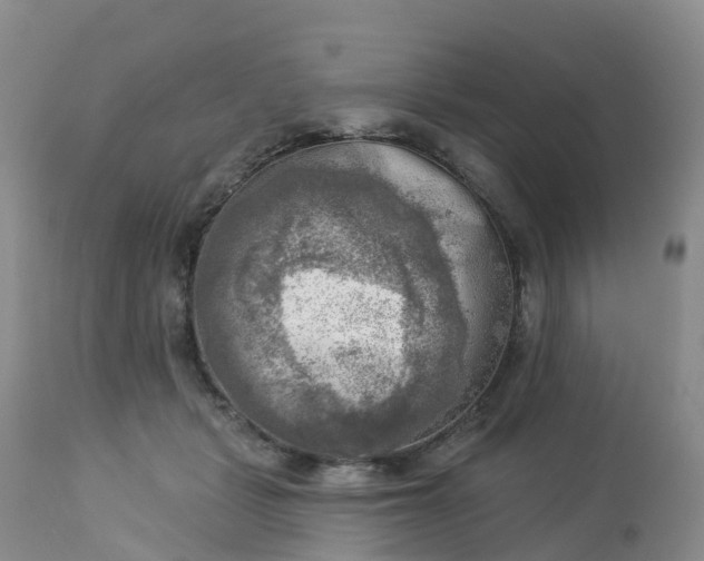 X0000113100461200909111055