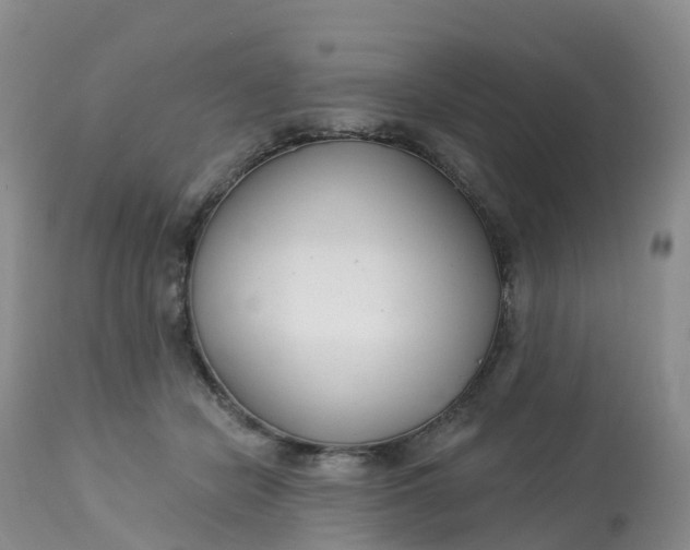 X0000113100462200909111056