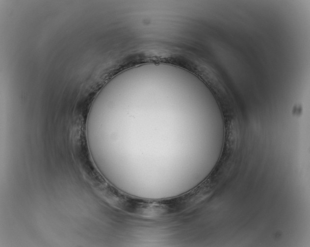 X0000113100463200909111056