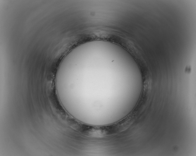 X0000113100464200909111056