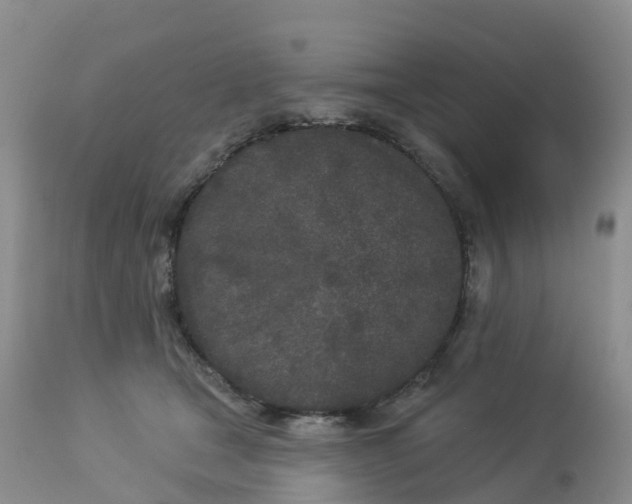 X0000113100465200909111056