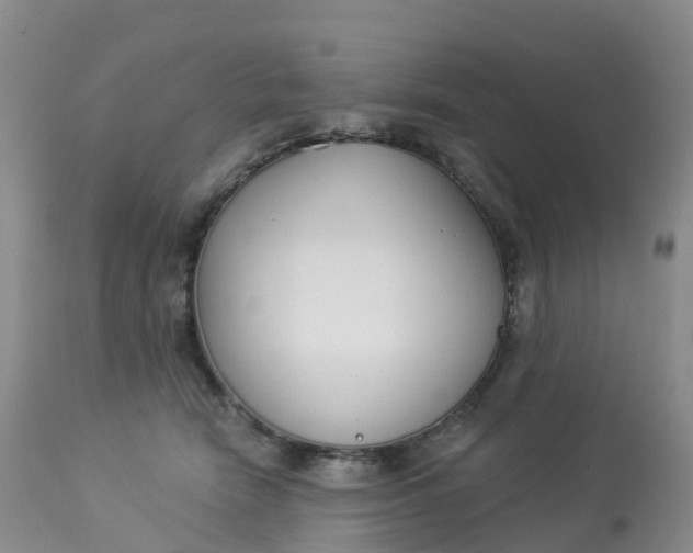 X0000113100466200909111056