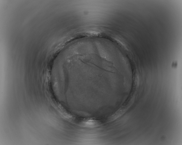 X0000113100467200909111056