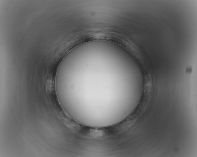 X0000113100469200909111056