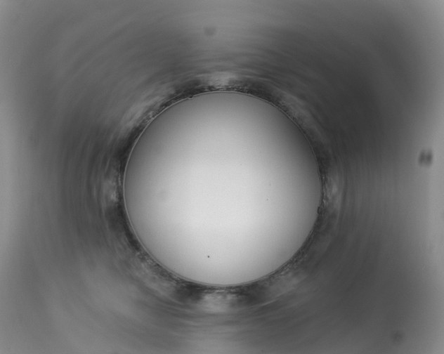 X0000113100470200909111056