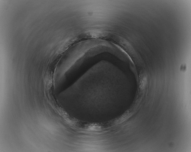 X0000113100471200909111056